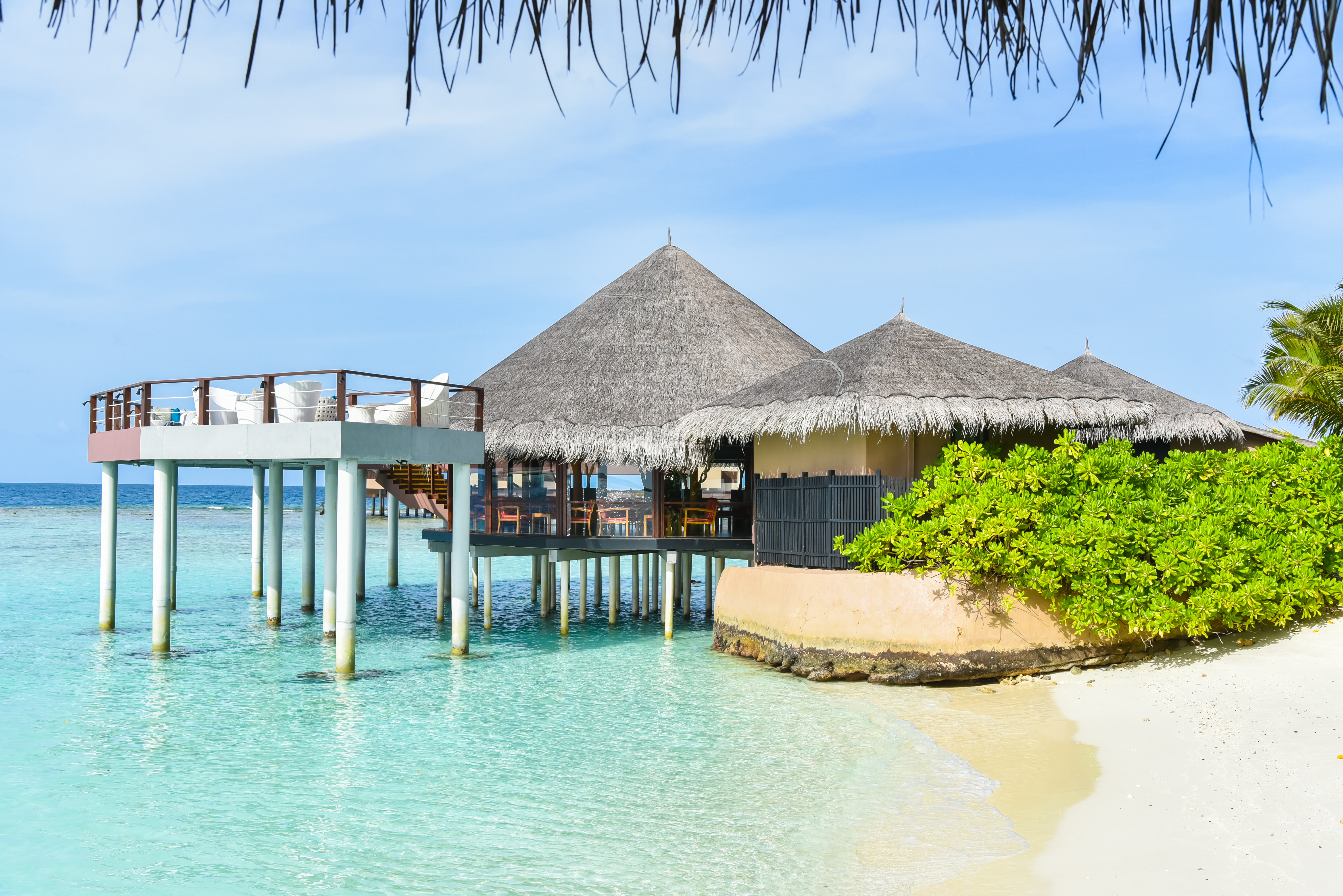 Luxury island. Luxury Мальдивы Island. Блю Айленд лакшери. Бунгало. Тропическое бунгало.