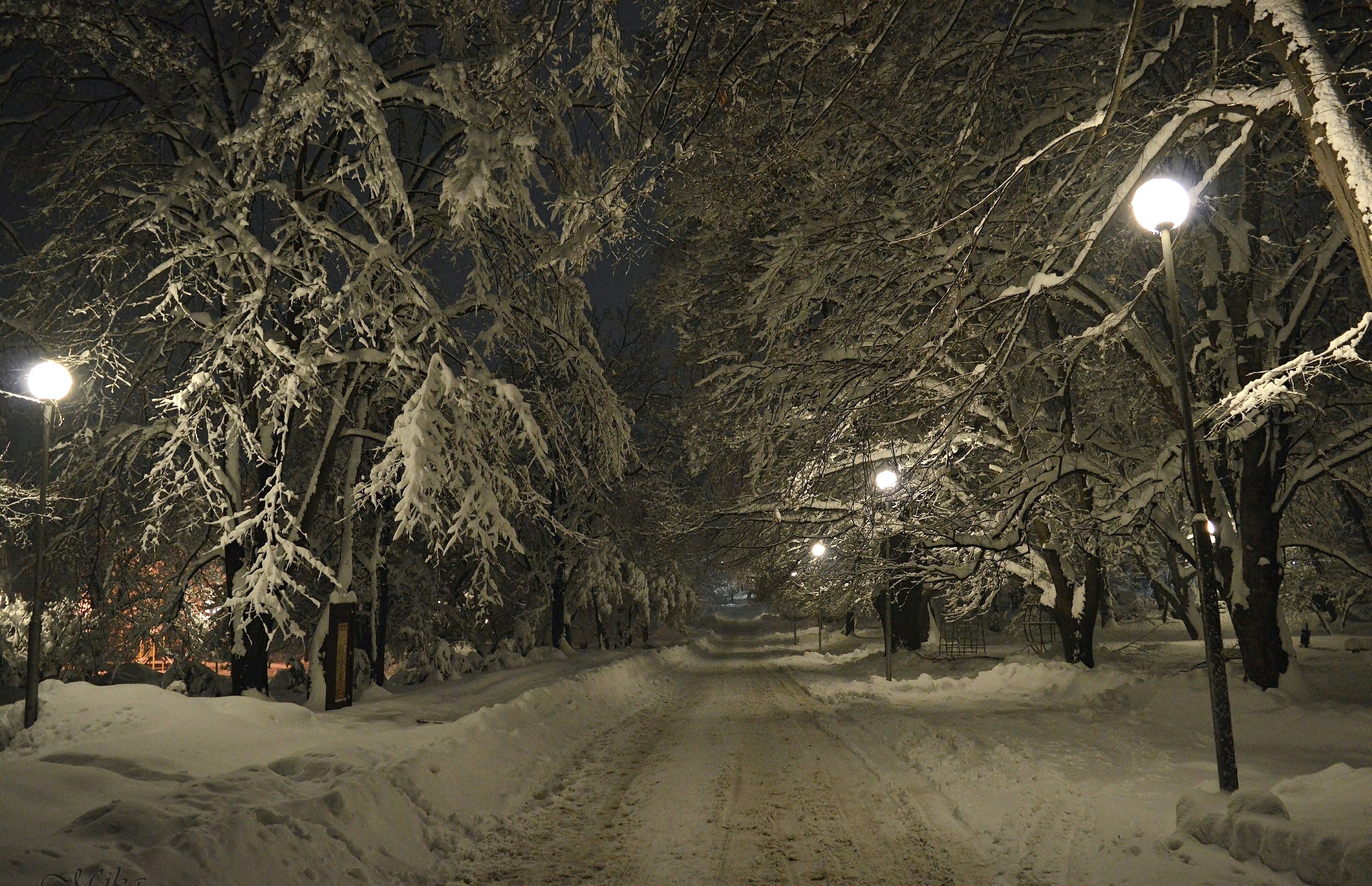 Картинка снег ночью