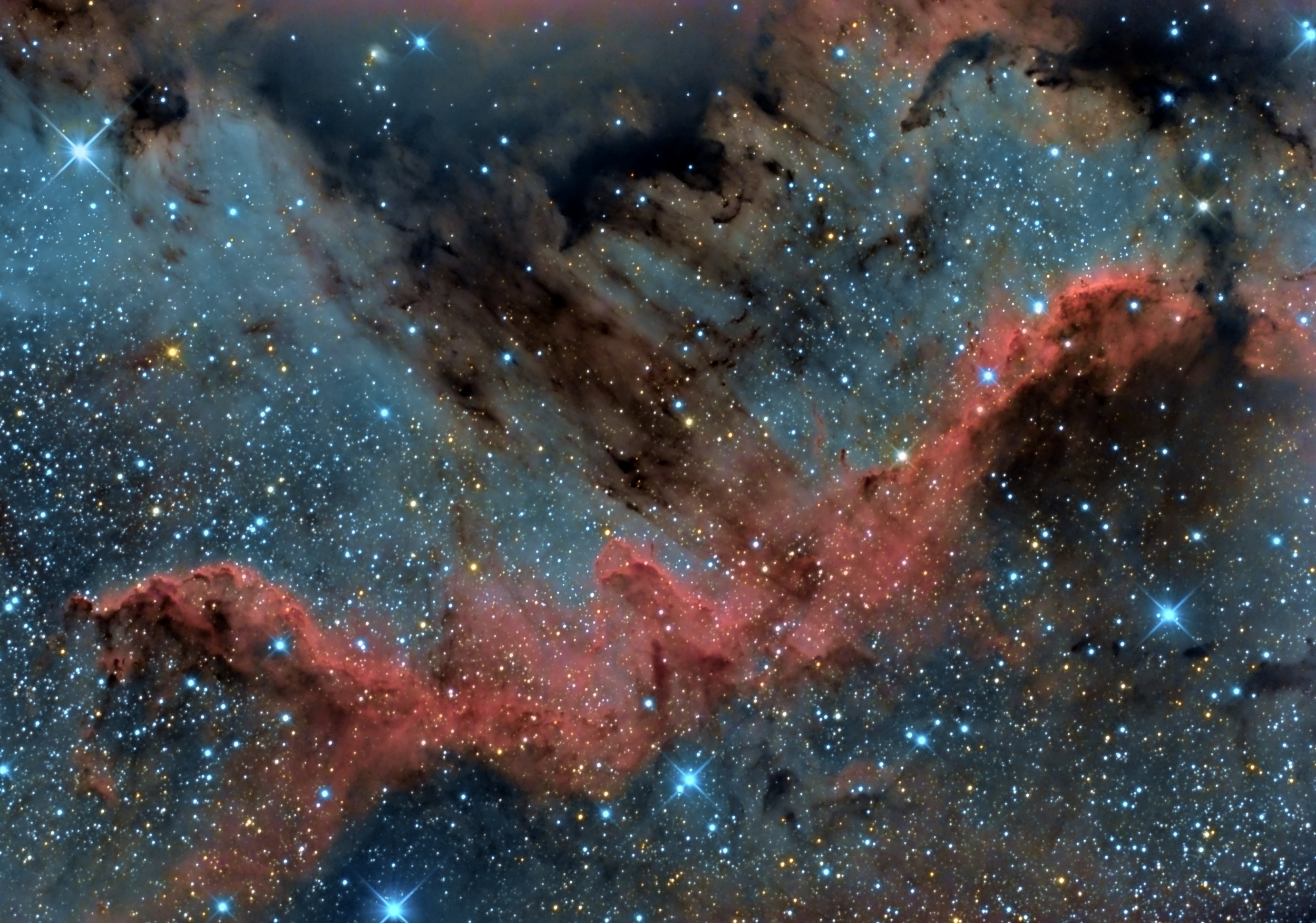 Новелла межзвездная. Туманность NGC 7000. Туманность NGC 2467. Туманность Альфа Центавра. Межзвездные туманности.