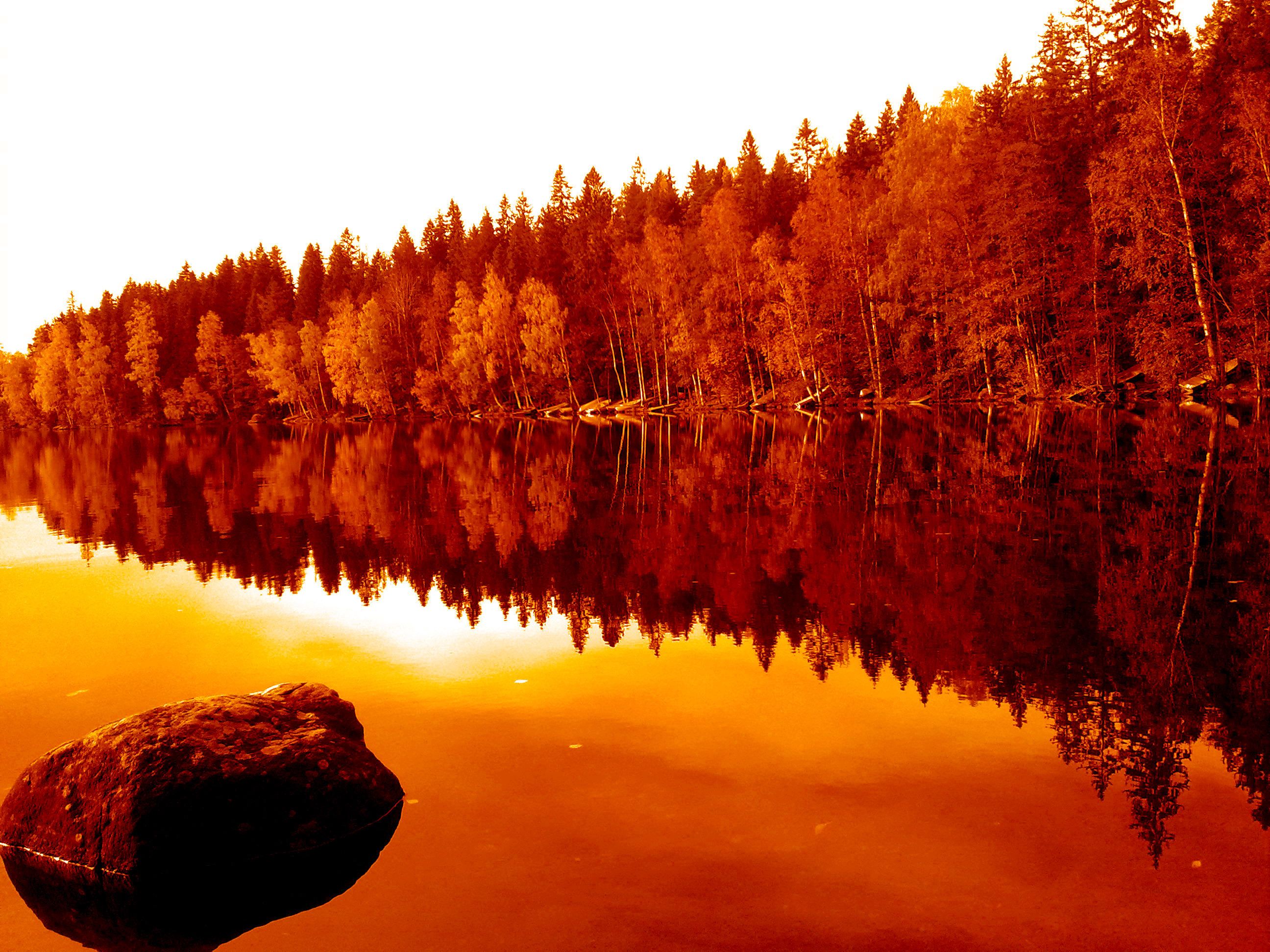 Красота 32. Осенний лес в Карелии. Карелия осенью. Осень в Финляндии. Финляндия осенью.