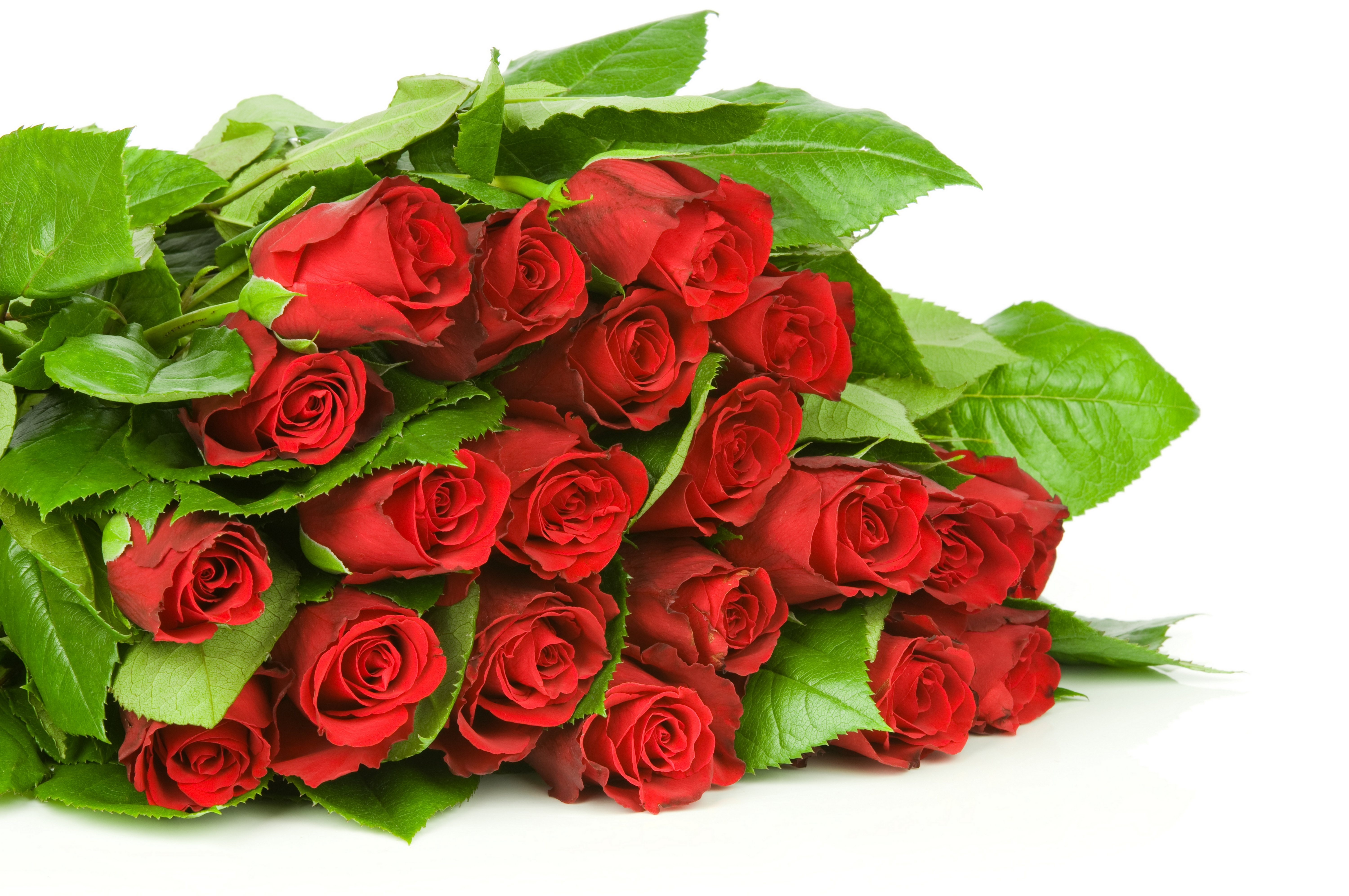 Бесплатные открытки букет роз. Красивый букет роз. Шикарный букет роз. Букет красных роз. Огромный букет красных роз.