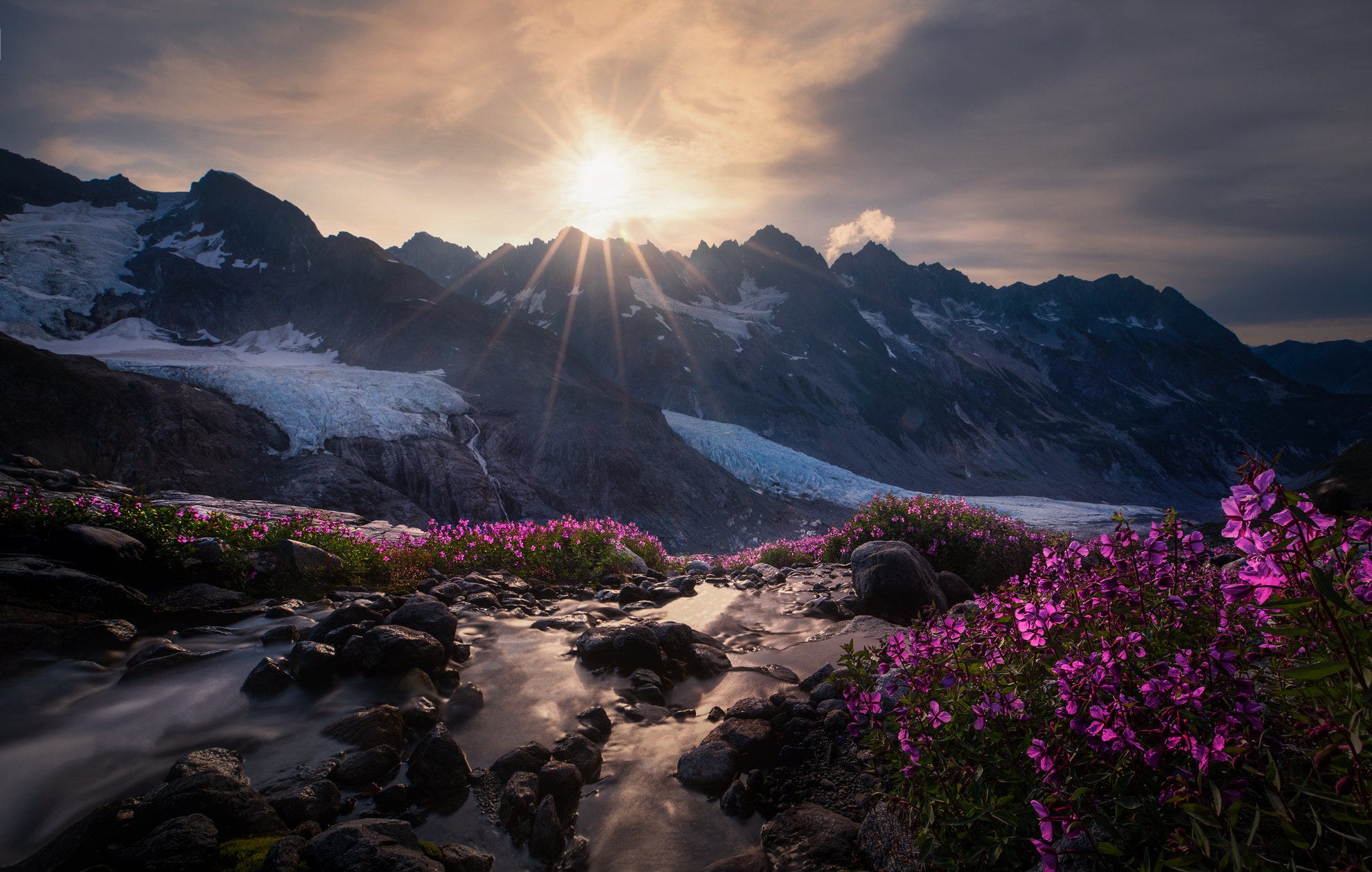 3d mountain flowers. Весна в горах. Цветы в горах. Ранняя Весна в горах. Река цветы горы солнце.