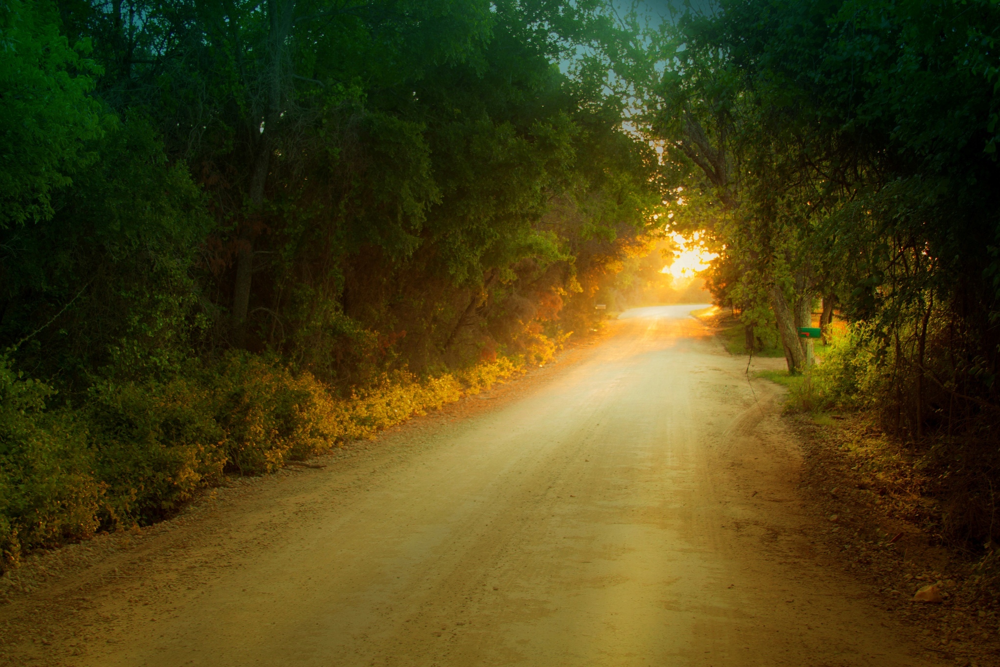 Желтый свет на дороге. Лесная дорога. Летняя дорога. Дорога закат. Дорога в лесу.