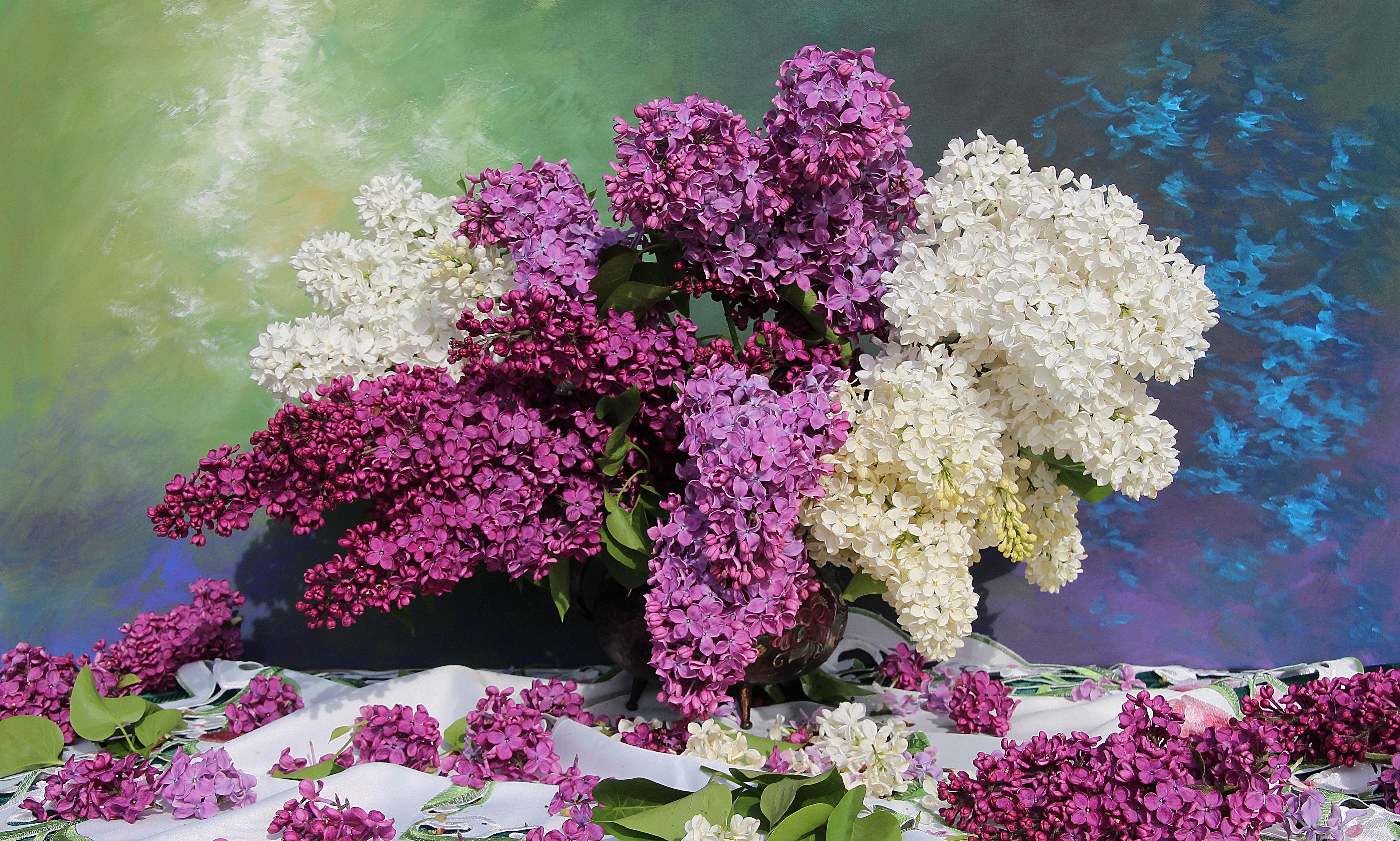 Открытки сирень