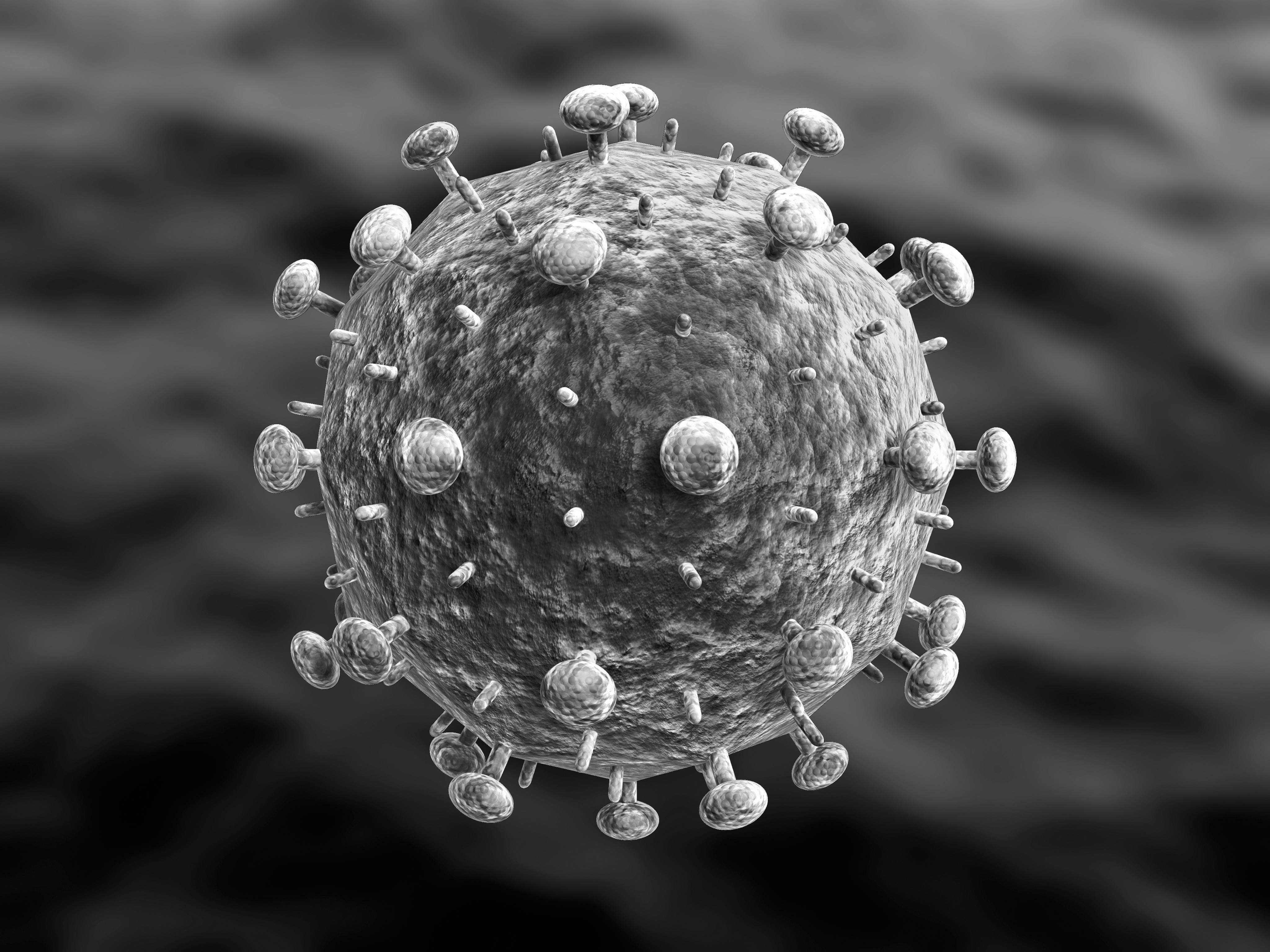 Human immunodeficiency virus. Вирус СПИДА под микроскопом. Вирус иммунодефицита человека микроскоп. Вирус ВИЧ под микроскопом. Ретровирус ВИЧ.