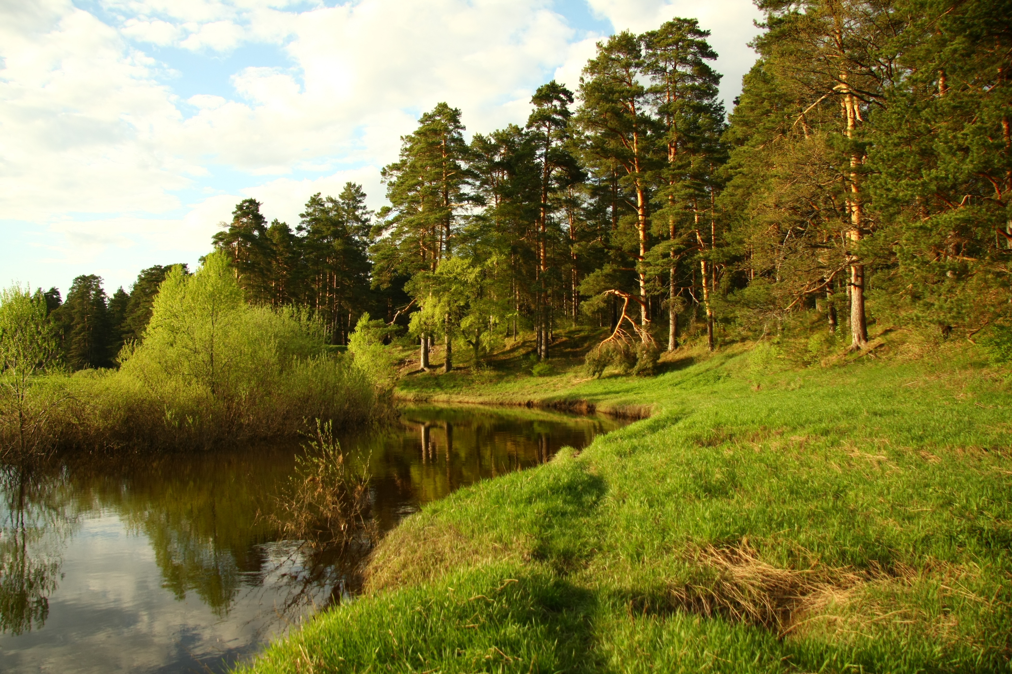 Фото Русская Река