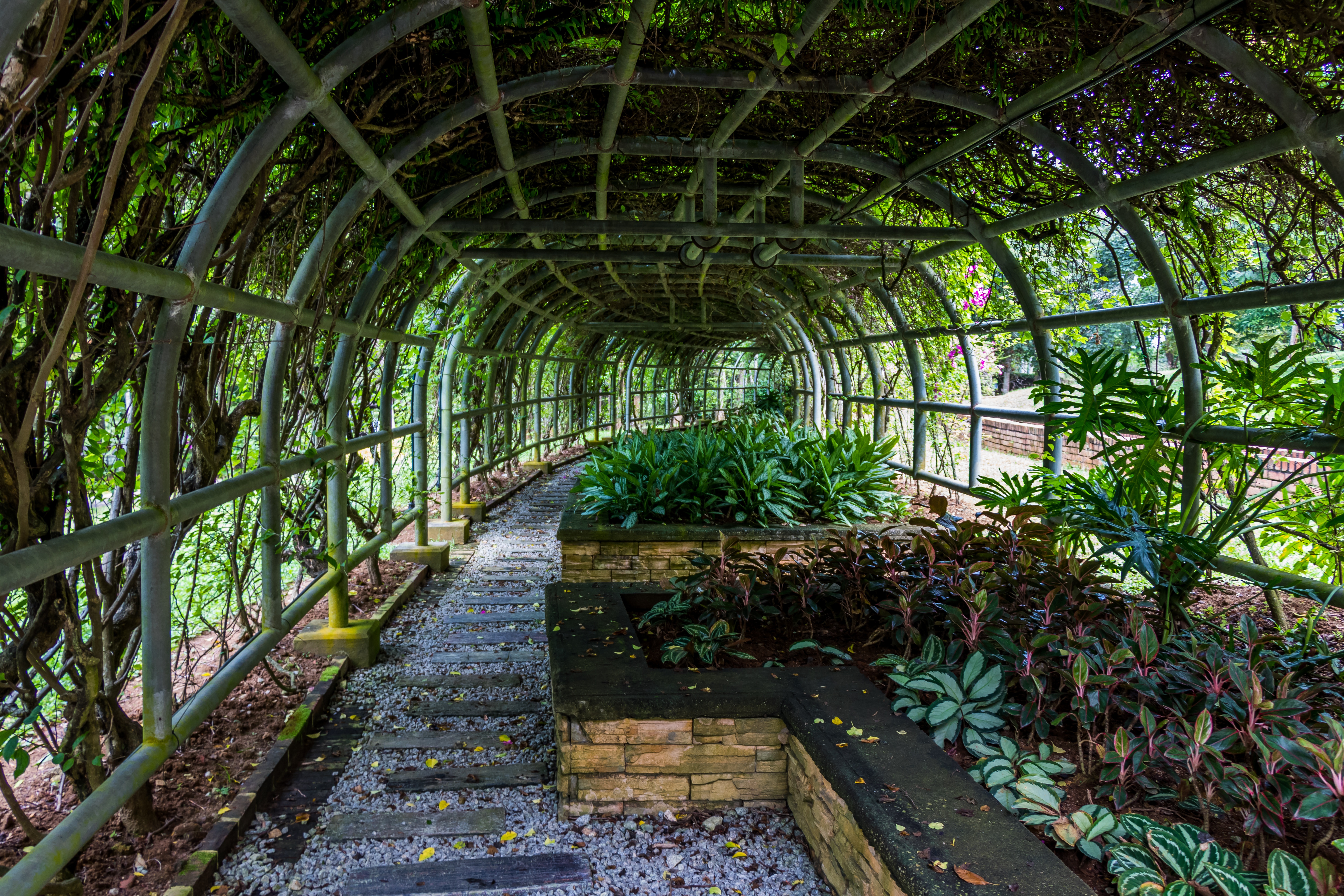 достопримечательности москвы ботанический сад