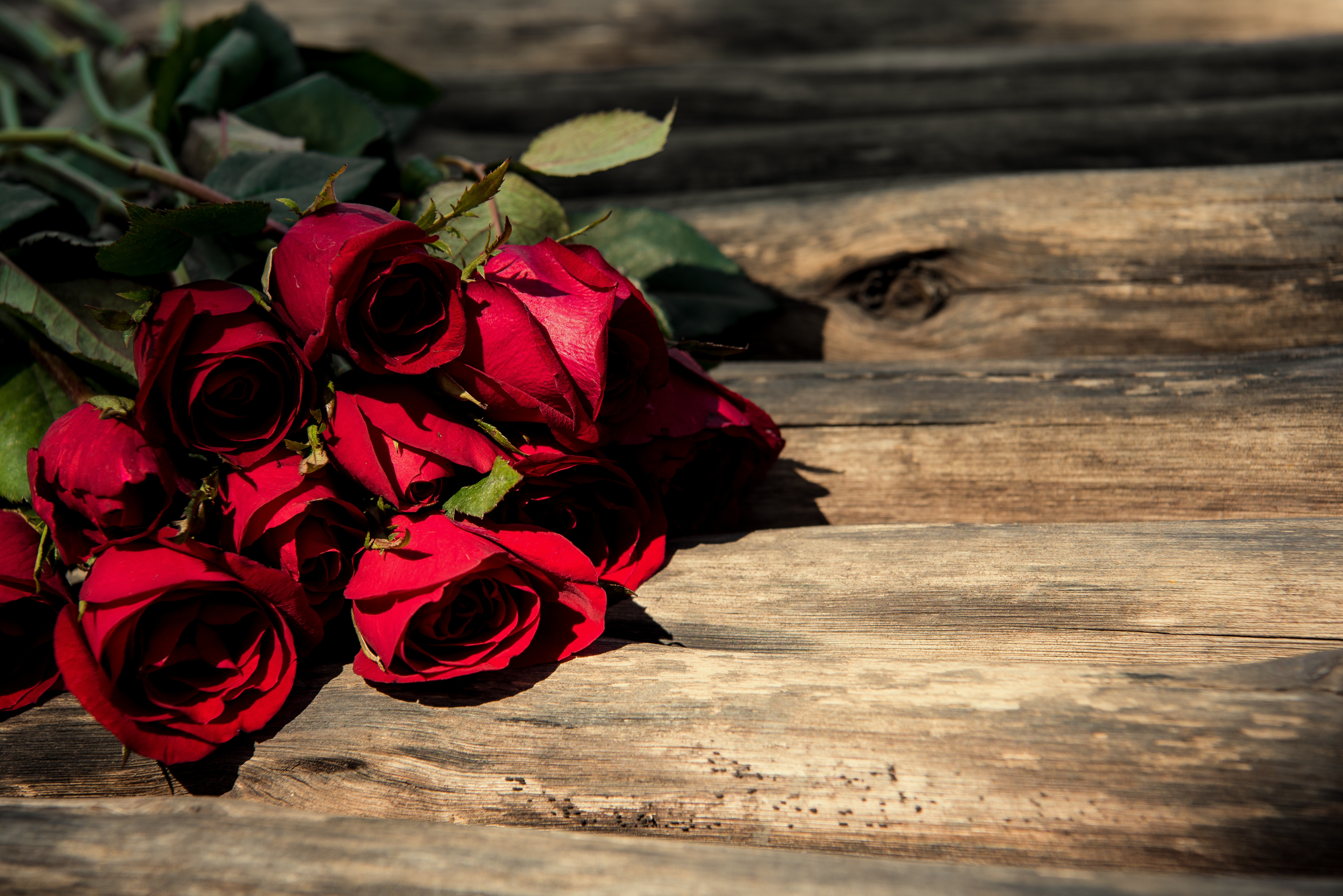 Сонник красный букет. Красные розы. Букет красных роз. Красно бордовые розы.