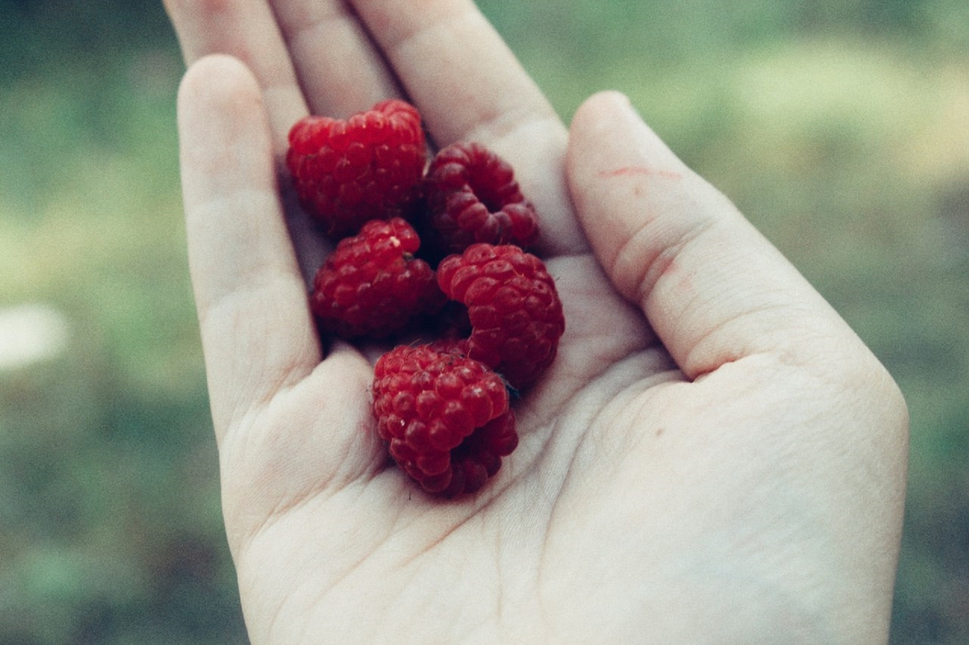 Сладкий вкус малины слушать. Девушка с малиной. Малина в руках. Ягоды в ладонях.