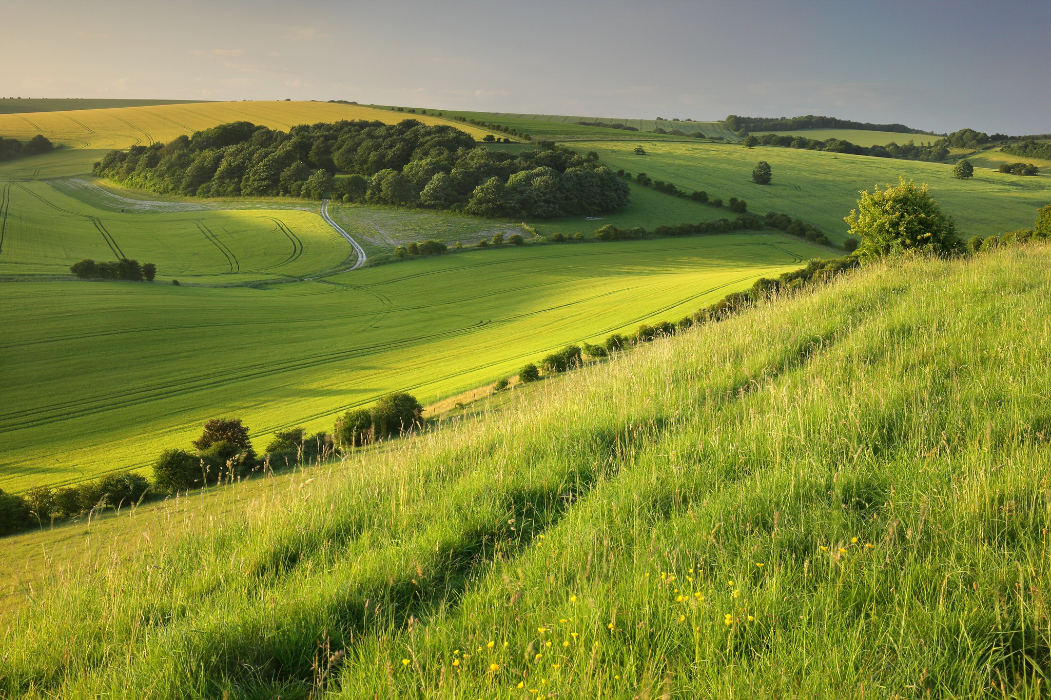 Рис холмы. Холмы Англии. Холмистые равнины Великобритании. Поля. Красивое поле.