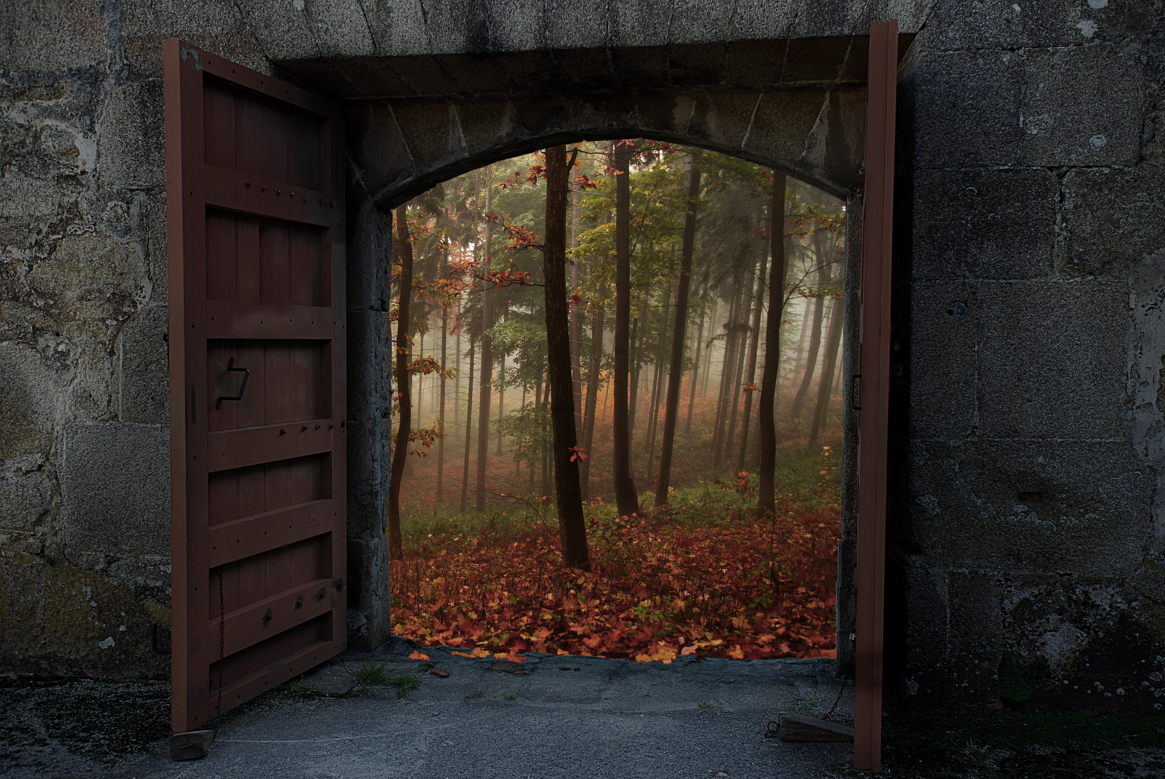 Голодные двери. Открытая дверь. Дверь в лесу. Открытая дверь в природу. Красивые двери.