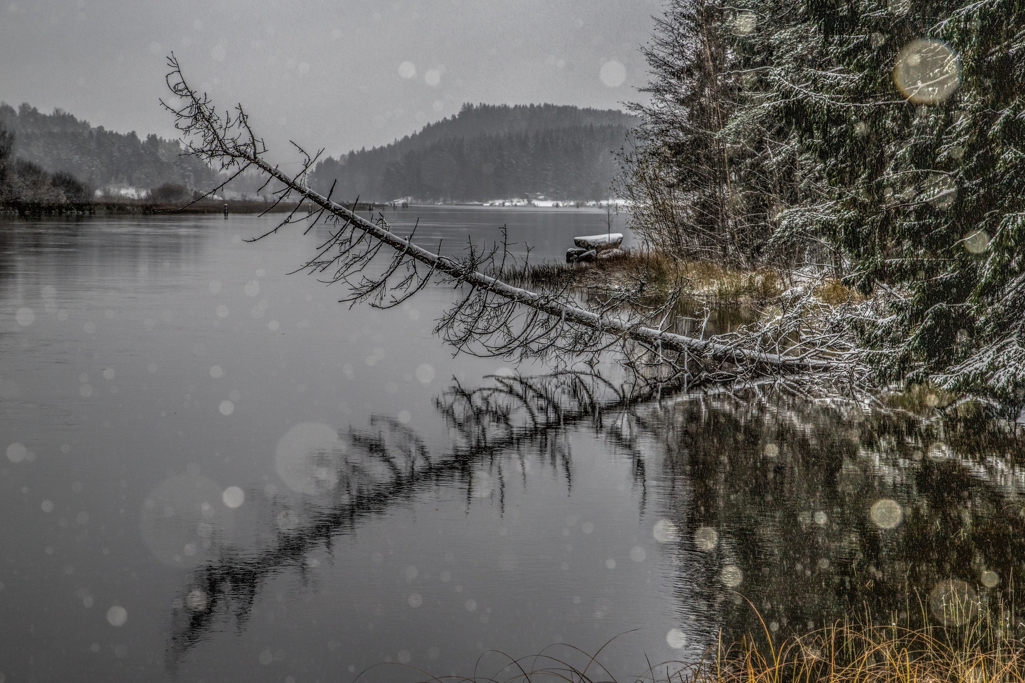 Winter kommt flocken fallen nieder. Финляндия в ноябре. Финляндия поздняя осень. Озера Финляндии в ноябре. Ноябрь река елки.